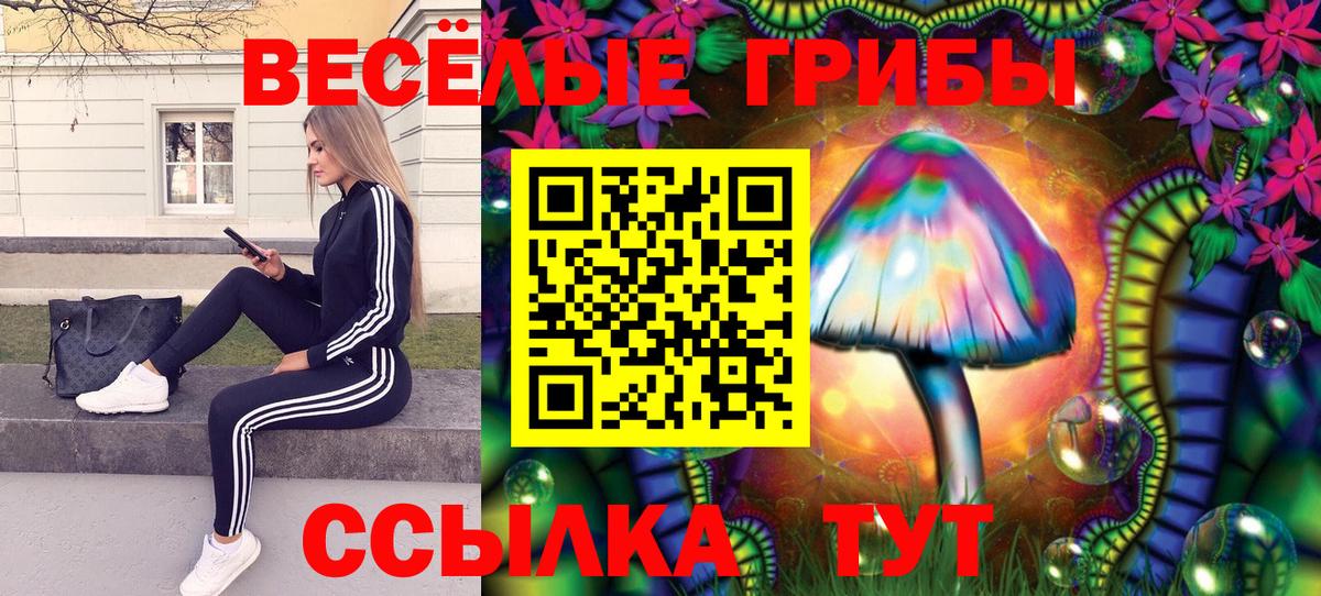 Псилоцибиновые грибы мицелий Миллерово
